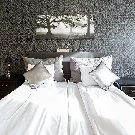 Chesterfield 3* 特隆赫姆
